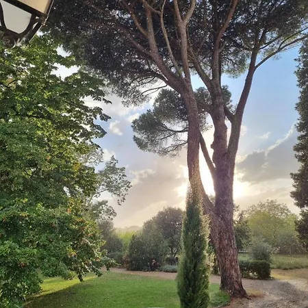 La Chapelle Aux Acacias *