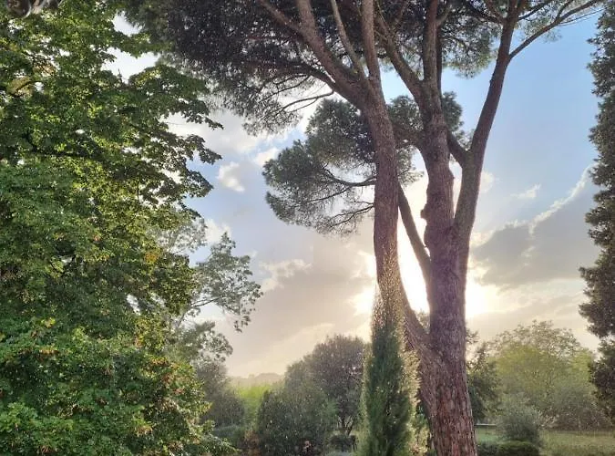 La Chapelle Aux Acacias *